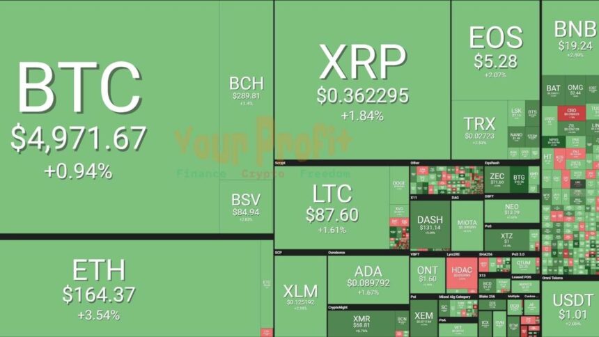 Live Crypto Market Rates in USD, AUD, EUR, INR, GBP | Real-Time Updates