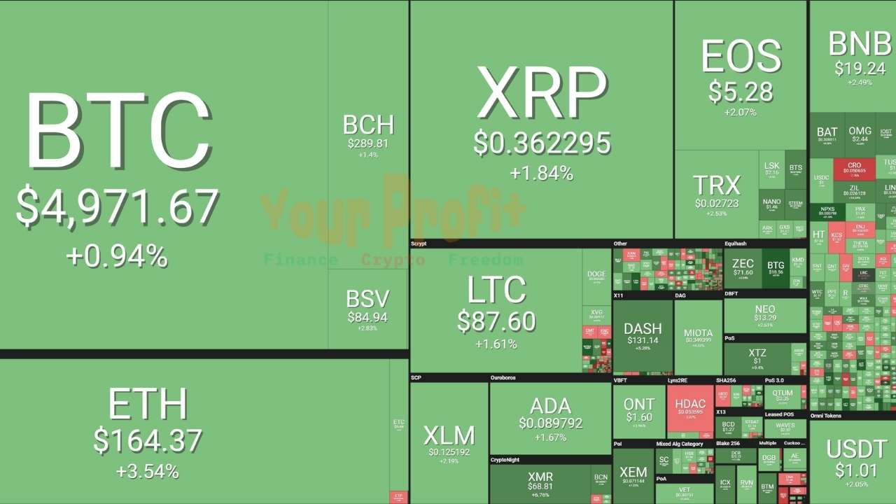 Live Crypto Market Rates in USD, AUD, EUR, INR, GBP | Real-Time Updates