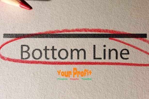 Proven Methods to Enhance Your Bottom Line: 17 Powerful Strategies for Maximum Profit